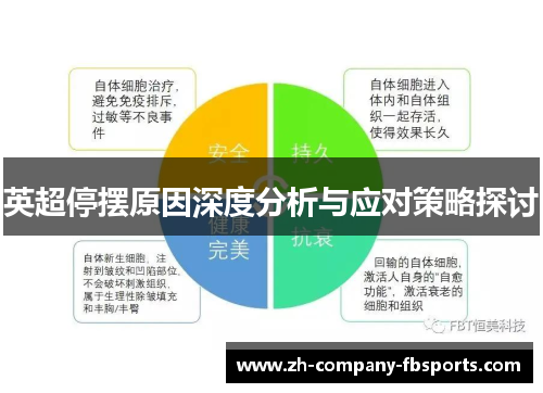 英超停摆原因深度分析与应对策略探讨