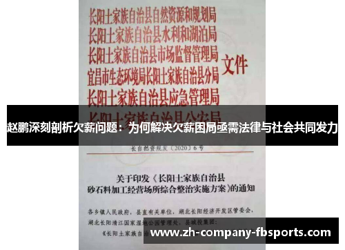 赵鹏深刻剖析欠薪问题:为何解决欠薪困局亟需法律与社会共同发力 赵鹏深刻剖析欠薪问题:为何解决欠薪困局亟需法律与社会共同发力