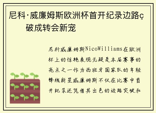 尼科·威廉姆斯欧洲杯首开纪录边路爆破成转会新宠 尼科·威廉姆斯欧洲杯首开纪录边路爆破成转会新宠